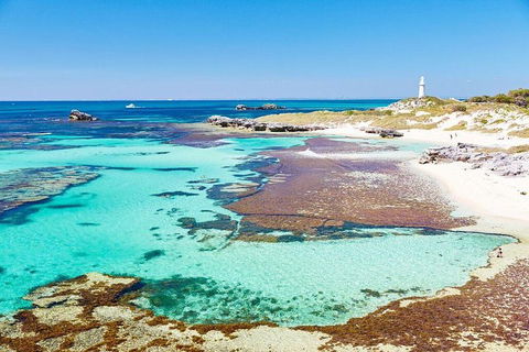 Fremantle To Rottnest Island Roundtrip Ferry Ticket - Kalgoorlie Accommodation 2