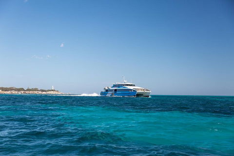 Fremantle To Rottnest Island Roundtrip Ferry Ticket - Kalgoorlie Accommodation 5