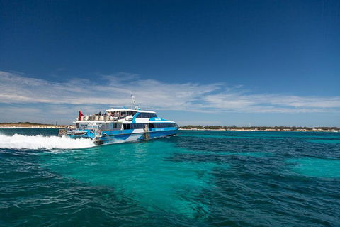 Rottnest Island All-Inclusive Grand Island Tour From Fremantle - Kalgoorlie Accommodation 3