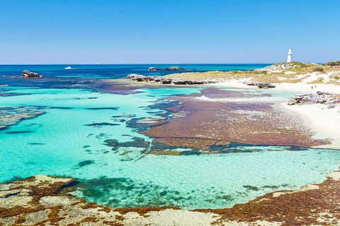 Rottnest Island Bayseeker Day Trip From Perth - Kalgoorlie Accommodation 4