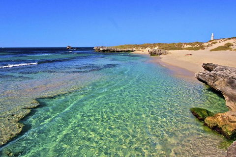 Rottnest Island Bayseeker Day Trip From Perth - Kalgoorlie Accommodation 5