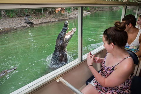Breakfast With The Koalas At Hartley's Crocodile Park From Cairns Or Palm Cove - Kalgoorlie Accommodation 4