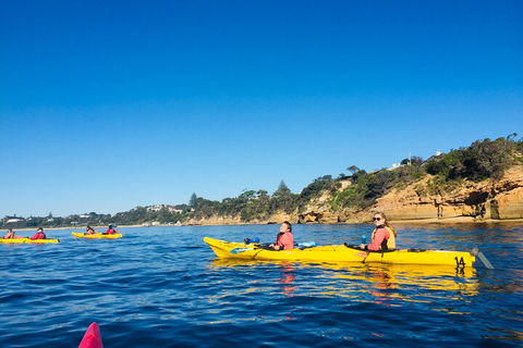 Mornington Peninsula Kayak Coastline Tour Of Dolphin Sanctuary - Kalgoorlie Accommodation 1
