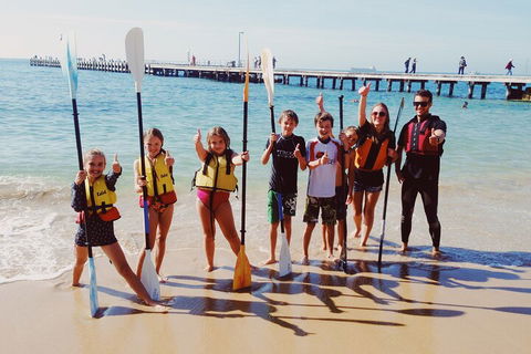 Mornington Peninsula Kayak Coastline Tour Of Dolphin Sanctuary - Kalgoorlie Accommodation 3