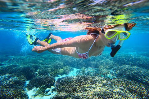 Abrolhos Islands Scenic Flight & Snorkel Adventure From Perth - Kalgoorlie Accommodation 1
