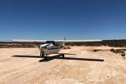 Kalbarri Gorges & West Coast - Ground & Air Tour - Kalgoorlie Accommodation 4