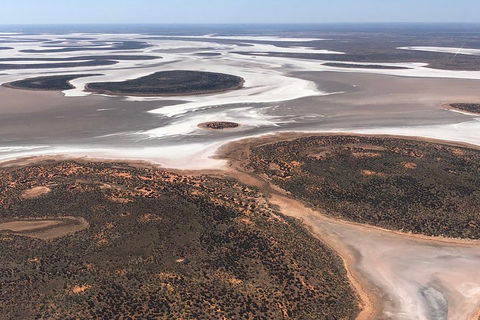 Helicopter Scenic: Lizard Safari - Kalgoorlie Accommodation 5