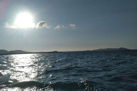 Townsville Small Group Early Morning Sailing Cruise Boat Tour Charter Hire - Kalgoorlie Accommodation 4
