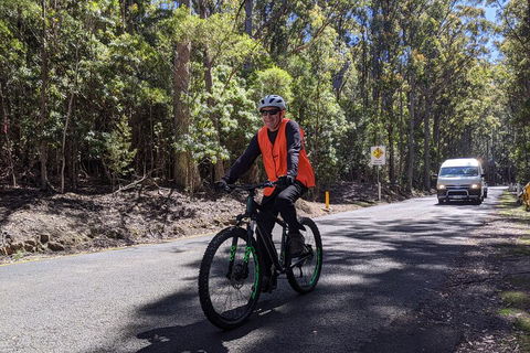 Mount Wellington Descent Cycling Tour Departs Hobart - Kalgoorlie Accommodation 3
