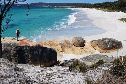 2-Day Tas East Coast Escape Tour Including Bay Of Fires, Wineglass Bay & Devils - Kalgoorlie Accommodation 4