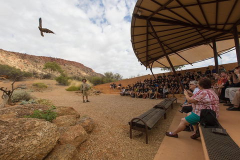 Alice Springs Desert Park General Entry Ticket - Kalgoorlie Accommodation 1