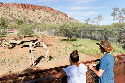 Alice Springs Desert Park General Entry Ticket - Kalgoorlie Accommodation 4