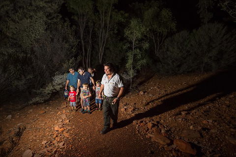 Alice Springs Desert Park Nocturnal Tour - Kalgoorlie Accommodation 0