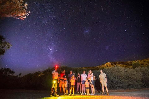 Alice Springs Desert Park Nocturnal Tour - Kalgoorlie Accommodation 2