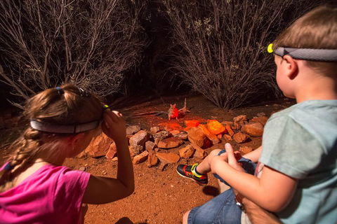 Alice Springs Desert Park Nocturnal Tour - Kalgoorlie Accommodation 4