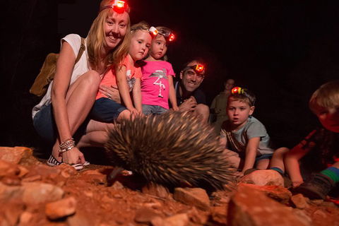 Alice Springs Desert Park Nocturnal Tour - Kalgoorlie Accommodation 5