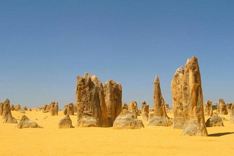 Half Day Pinnacles Sunset Tour - Kalgoorlie Accommodation 5