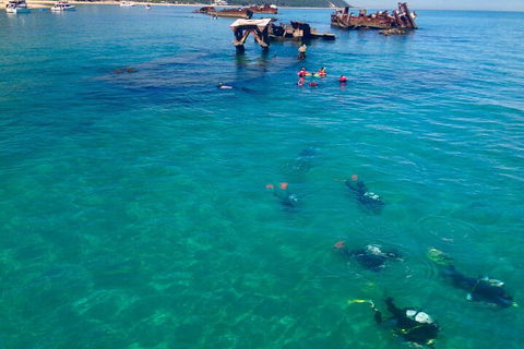 Adventure Moreton Island Scuba Dive Tour - Kalgoorlie Accommodation 0