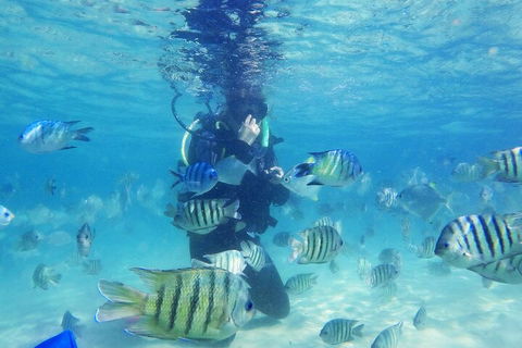 Adventure Moreton Island Scuba Dive Tour - Kalgoorlie Accommodation 1