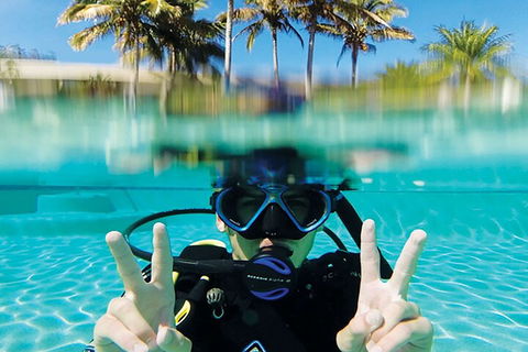 Adventure Moreton Island Scuba Dive Tour - Kalgoorlie Accommodation 2