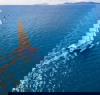 2-Night Whitsunday Islands Sailing Adventure on Trimaran Avatar - Kalgoorlie Accommodation