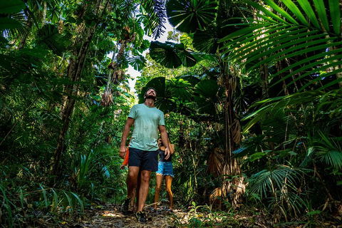 Full Day Daintree Rainforest And Mossman Gorge Tour - Kalgoorlie Accommodation 0