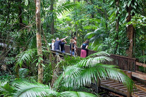 Full Day Daintree Rainforest And Mossman Gorge Tour - Kalgoorlie Accommodation 1