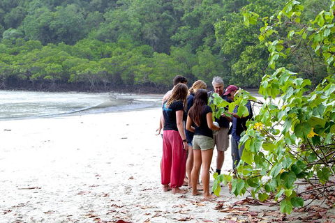 Full Day Daintree Rainforest And Mossman Gorge Tour - Kalgoorlie Accommodation 2