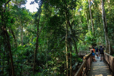 Full Day Daintree Rainforest And Mossman Gorge Tour - Kalgoorlie Accommodation 5
