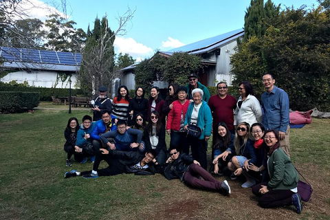 Full Day Mount Tamborine Winery Tour From Brisbane - Kalgoorlie Accommodation 2