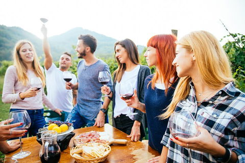 Full Day Mount Tamborine Winery Tour From Brisbane - Kalgoorlie Accommodation 5