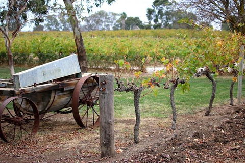 Maggie Beer Farm - Barossa Valley Regional Tour - Kalgoorlie Accommodation 1