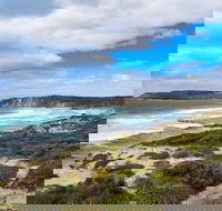 Kangaroo Island Luxury Small Group 'East End Explorer' Full Day Tour - Kalgoorlie Accommodation