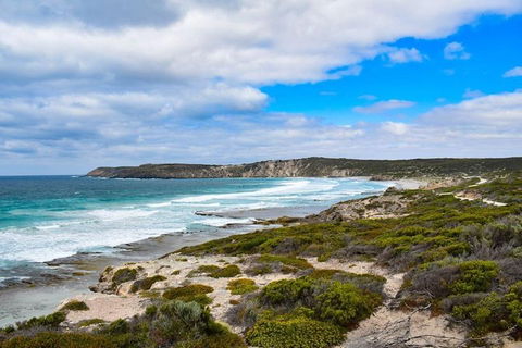 Kangaroo Island Luxury Small Group 'East End Explorer' Full Day Tour - Kalgoorlie Accommodation 0