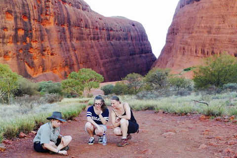 Afternoon Kata Tjuta Small Group Tour - Kalgoorlie Accommodation 2