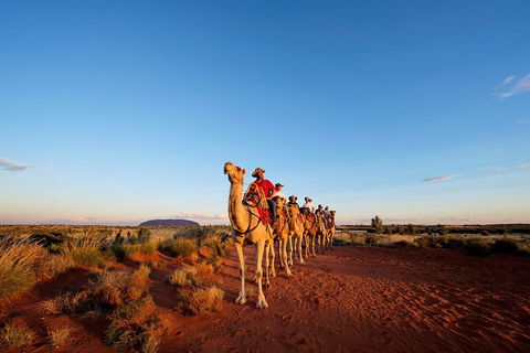 Uluru Small-Group Tour By Camel At Sunrise Or Sunset - Kalgoorlie Accommodation 3