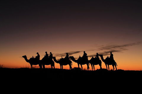 Uluru Small-Group Tour By Camel At Sunrise Or Sunset - Kalgoorlie Accommodation 4