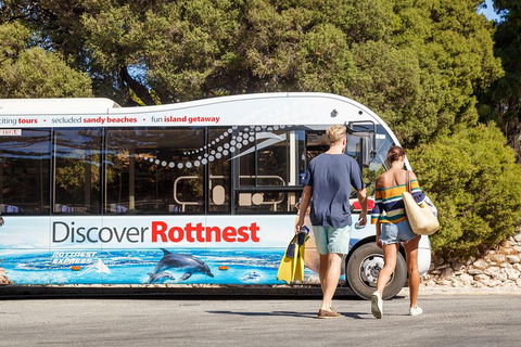Discover Rottnest With Ferry & Bus Tour From Perth Or Fremantle - Kalgoorlie Accommodation 1