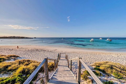 Discover Rottnest With Ferry & Bus Tour From Perth Or Fremantle - Kalgoorlie Accommodation 4