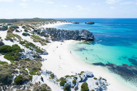 Discover Rottnest With Ferry & Bus Tour From Perth Or Fremantle - Kalgoorlie Accommodation 5