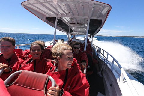 Adventure Rottnest Tour With Ferry & Adventure Cruise From Perth Or Fremantle - Kalgoorlie Accommodation 0