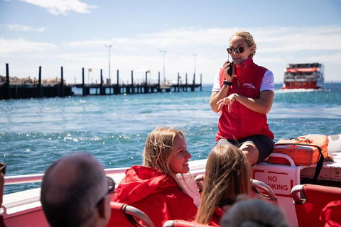 Adventure Rottnest Tour With Ferry & Adventure Cruise From Perth Or Fremantle - Kalgoorlie Accommodation 4