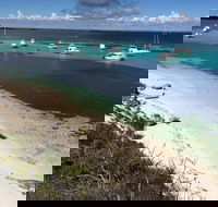 Experience Rottnest with Ferry  Bike Hire from Perth or Fremantle - Kalgoorlie Accommodation