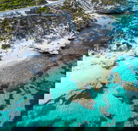 Rottnest Island Round-Trip Ferry from Perth or Fremantle - Kalgoorlie Accommodation