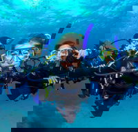 Great Barrier Reef Diving and Snorkeling Cruise from Cairns - Kalgoorlie Accommodation