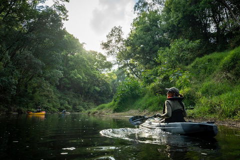 Byron Bay Rainforest Fishing - Kalgoorlie Accommodation 1