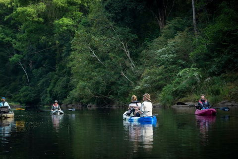 Byron Bay Rainforest Fishing - Kalgoorlie Accommodation 2