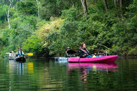 Byron Bay Rainforest Fishing - Kalgoorlie Accommodation 4