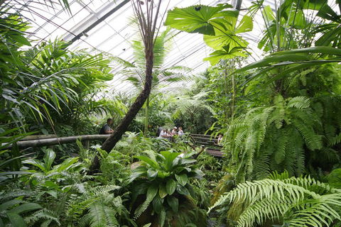 Australian Butterfly Sanctuary - Kalgoorlie Accommodation 3