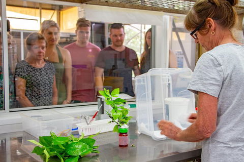 Australian Butterfly Sanctuary - Kalgoorlie Accommodation 5